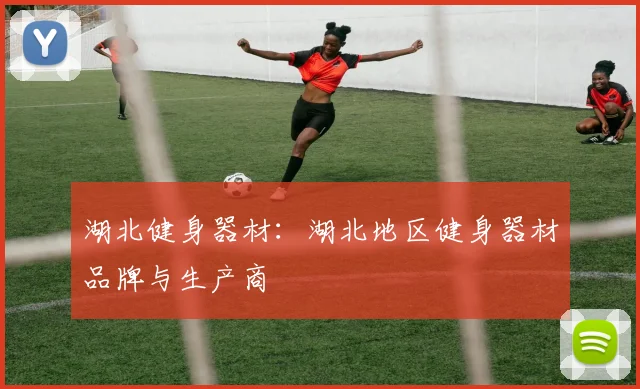湖北健身器材：湖北地区健身器材品牌与生产商