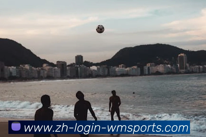 多媒体互动体验